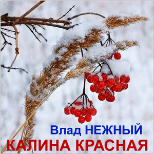 Я ушёл, я уехал