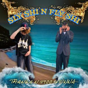 Sly shit and Fly shit