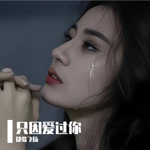 只因爱过你