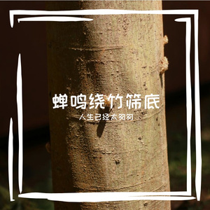 采蘑菇兼卖报的