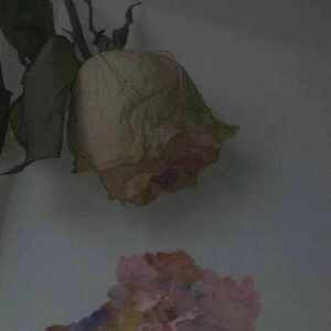 她说 （prod by Bizy）