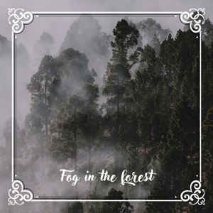 Fog in the forest N° 3