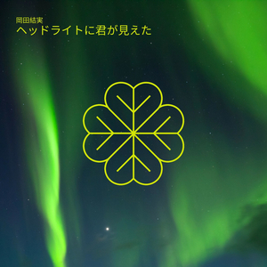 ヘッドライトに君が見えた