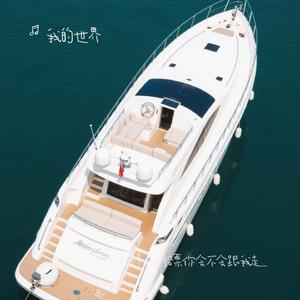 如果有多一张船票你会不会跟我走？