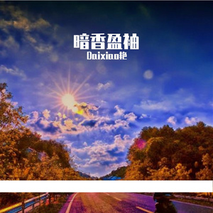 暗香盈袖