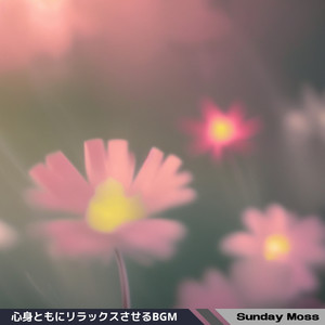 Music for a Relaxed Heart