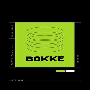 Bokke (feat. Rogue 8)