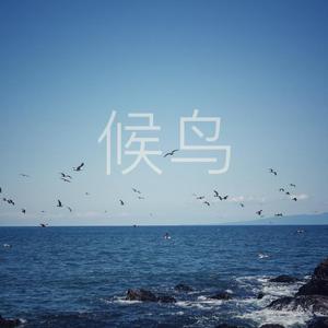 候鸟（翻自 she）