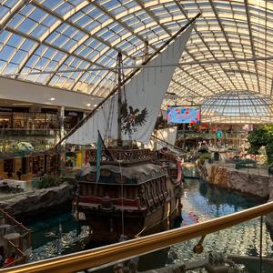 Architects Of Their Own Demise Bulldozer Plan