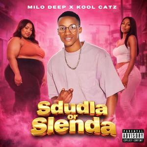 Sdudla or Slenda _2.0 (feat. Mr BeeJ)