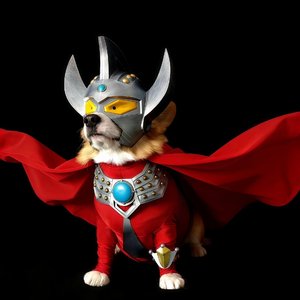 我的一生（吉他版）