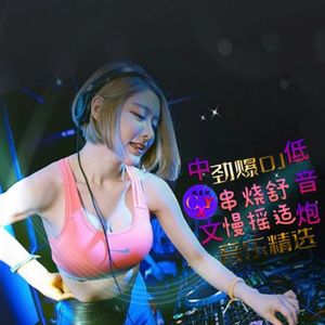 全新正品慢摇低音百听不腻之我想大声告诉你串烧大碟 - (陈易欣精心浓情制作9月中旬收录)