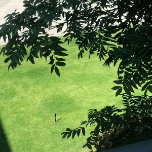 想共度一生的心意如此清晰