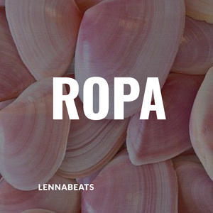 Ropa