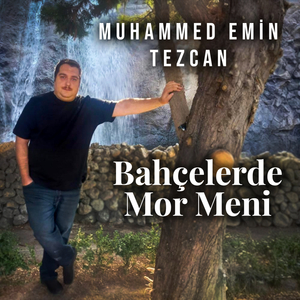 Bahçelerde Mor Meni