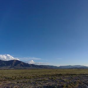 爱情是一百年的孤独