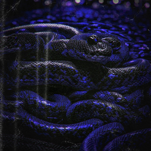 Tokyo Iball 2 Raza (feat. Freddie Dredd, IGARASHI KANTA & Pharmacist )