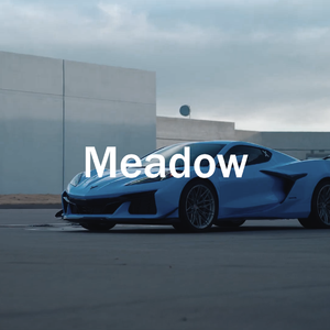 【FREE】"Meadow" - Tyga Type Beat