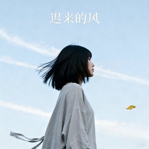 迟来的风