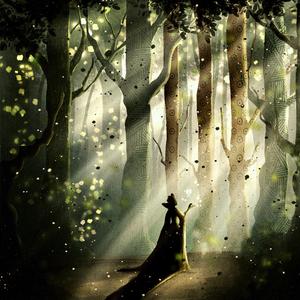 my bosque