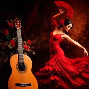 Spanish Flamenco Guitar 3