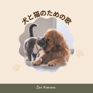 あなたの犬を落ち着かせてください