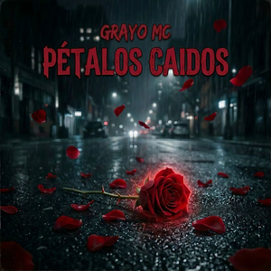 Pétalos caidos