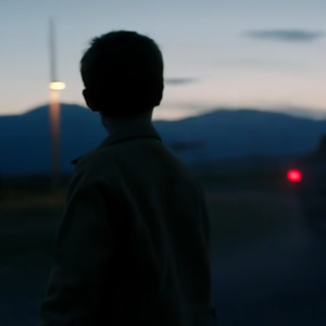 少年斯派维的奇妙旅行