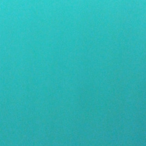ブルーベル
