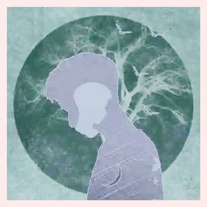 迪斯克条澈prod Kryf