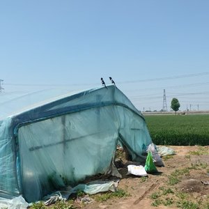 平凡一天 (2).wav