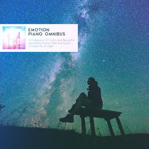 밤하늘을 수놓은 작은 별(Little Star Embroidered The Night Sky)