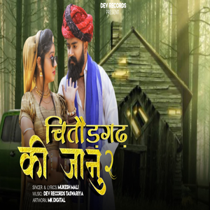 Chittorgarh Ki Jaanu 2
