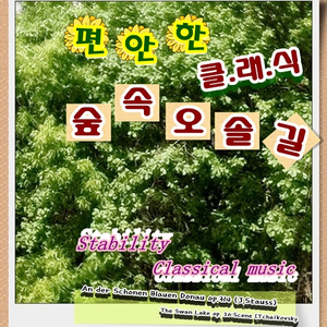 슈베르트-즉흥곡