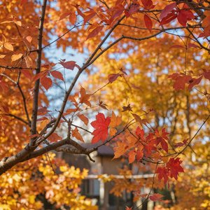 爱是十万个为什么