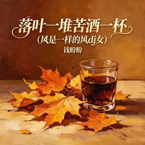 落叶一堆苦酒一杯（风是一样的风dj女)