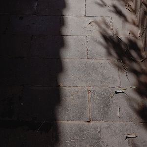 牧羊曲（弦乐合奏）