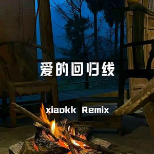 爱的回归线dj (xiaokk Remix)