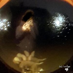 How to Never Come Out