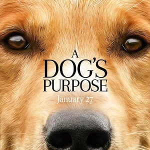 A dog's purpose