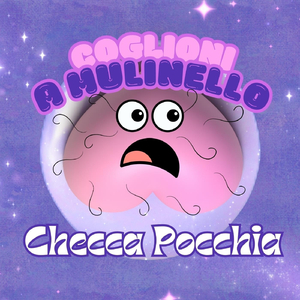 Sei un coglione