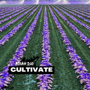 Cultivate