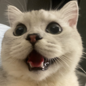 就忘了吧（cover：1k）（翻自 1K）