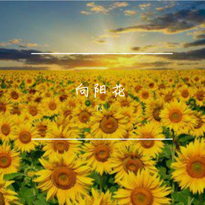 向阳花(Prod.by Lisure)