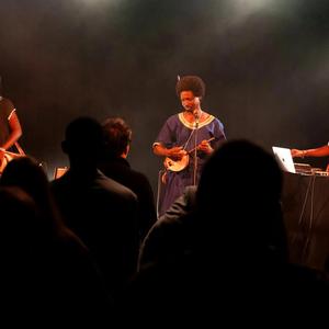 Farafina (feat. Sahel Roots)