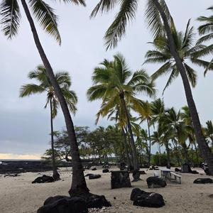 風のリズム (World Peace Song)