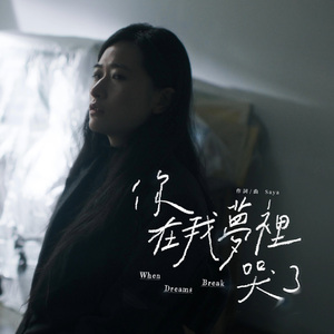 你在我梦里哭了