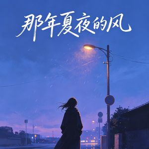 那年夏夜的风