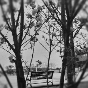 i walk this earth all by myself (Pitch Shift)