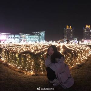 红昭愿（Cover 音阙诗听 / 王梓钰）